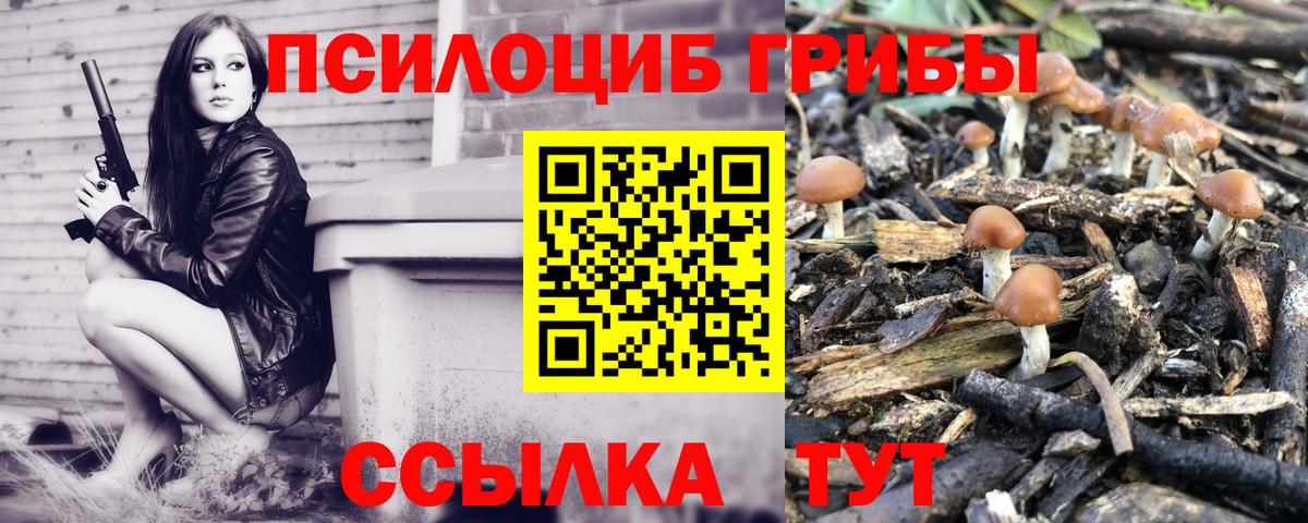 Чайковский  Галлюциногенные грибы ЛСД  закладка  Вход с VPN 